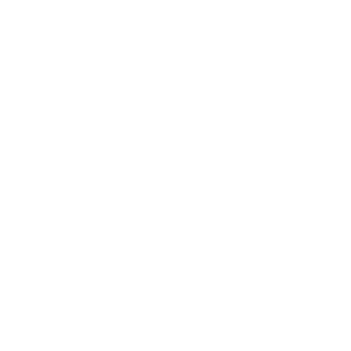 feature-item-4